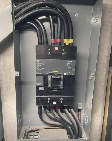 Interruptor principal en caja moldeada con sus alimentadores